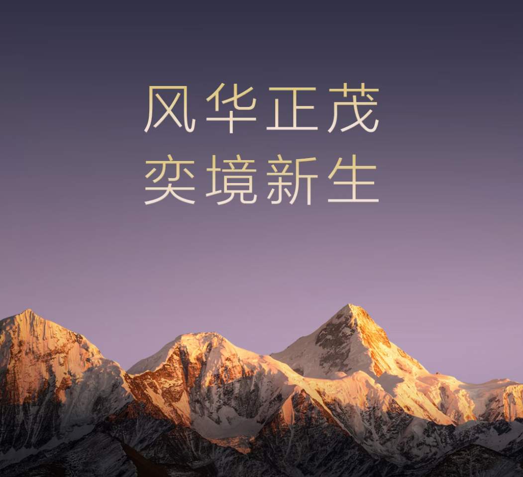 坐上华为快车的赛力斯，为何在朋友圈扩大后反而面临新挑战？(图4)