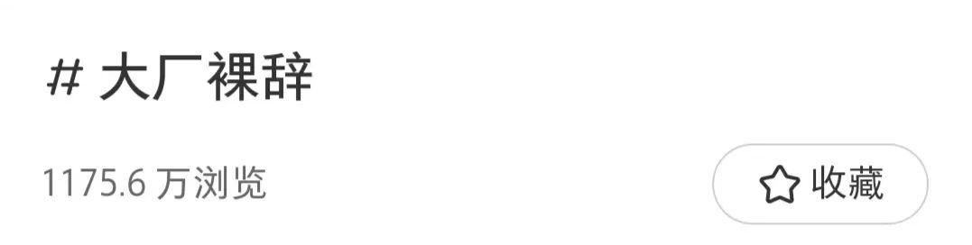 大厂离职做博主月入20万，没想到90%的