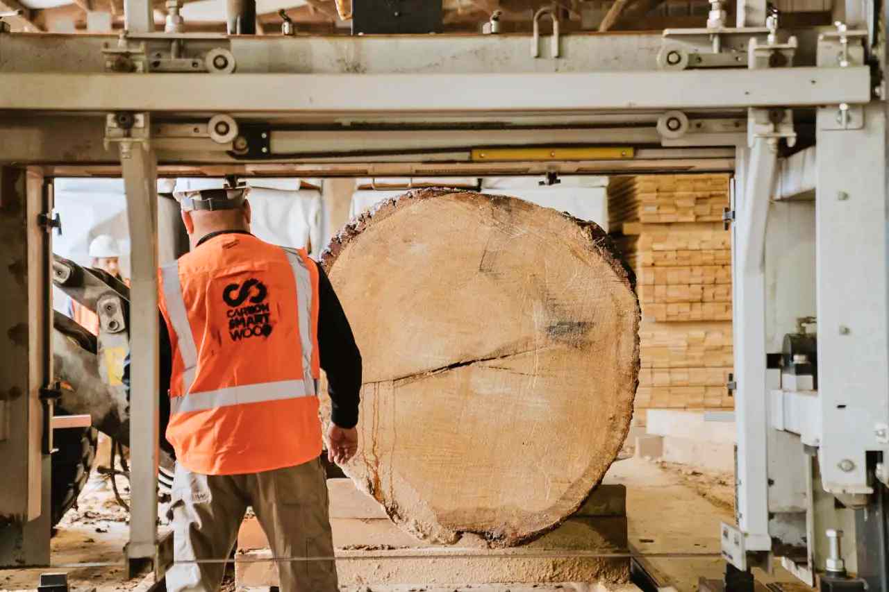 人工智能如何将废弃木材转化为高价值产品，构建可持续供应链 - 新媒体情报驿站