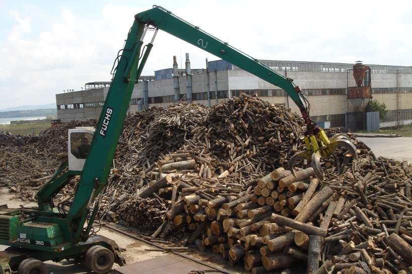 新西兰锯木厂关闭引发行业震荡，木材加工面临多重挑战(图3)