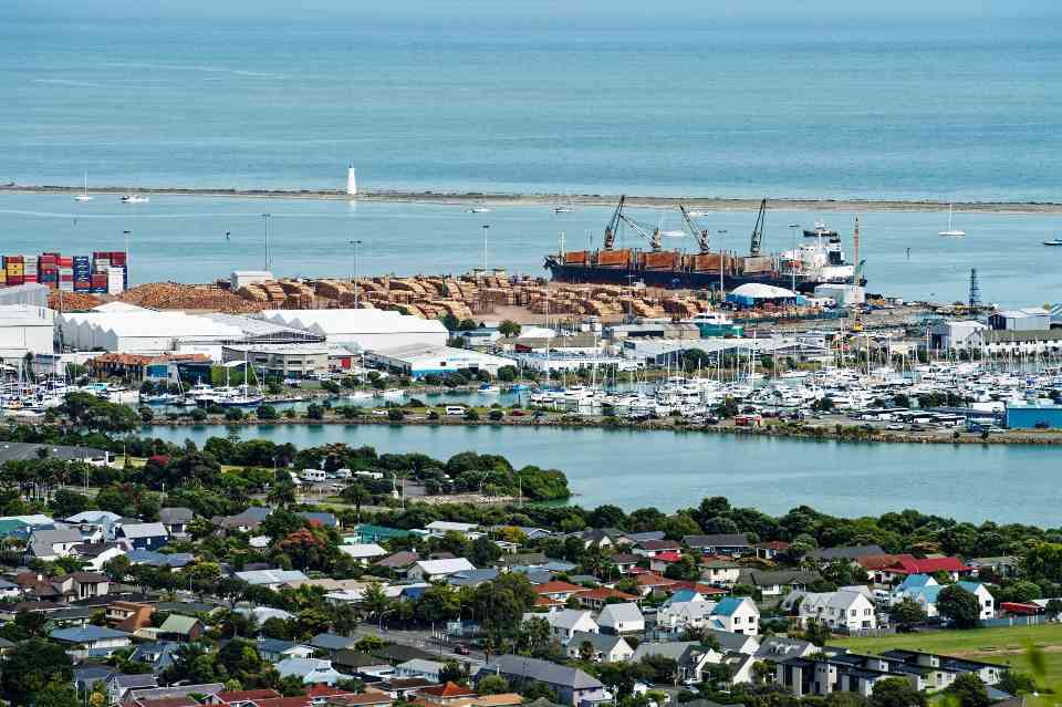 新西兰锯木厂关闭引发行业震荡，木材加工面临多重挑战 - 新媒体情报驿站