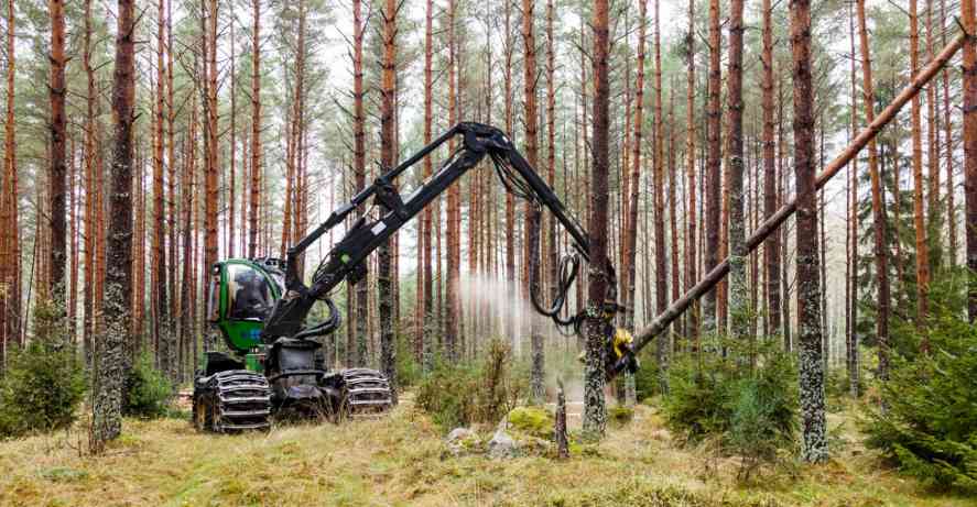 新西兰与印度贸易谈判重启，木材出口成关键增长点(图2)