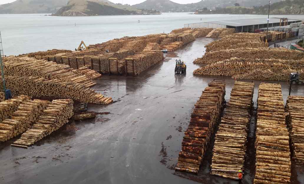 新西兰与印度贸易谈判重启，木材出口成关键增长点(图3)
