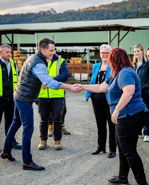 考拉公园扩建或影响硬木供应，新南威尔士州面临关键抉择(图2)