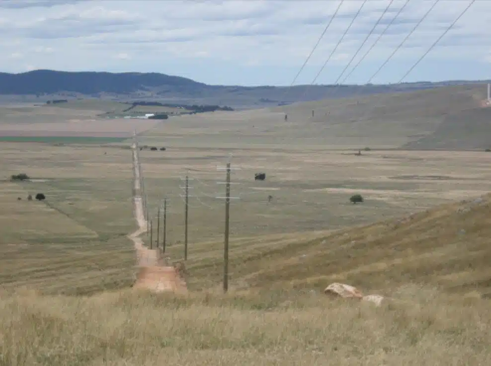考拉公园扩建或影响硬木供应，新南威尔士州面临关键抉择(图12)