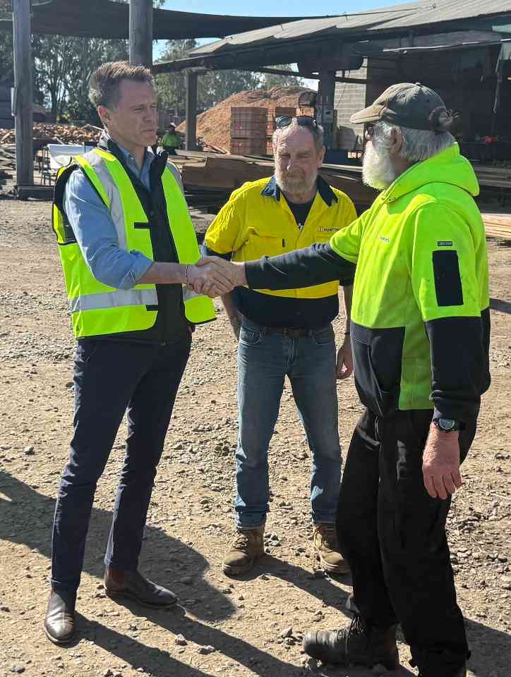 考拉公园扩建或影响硬木供应，新南威尔士州面临关键抉择(图9)