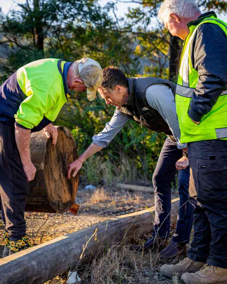 考拉公园扩建或影响硬木供应，新南威尔士州面临关键抉择 - 新媒体情报驿站