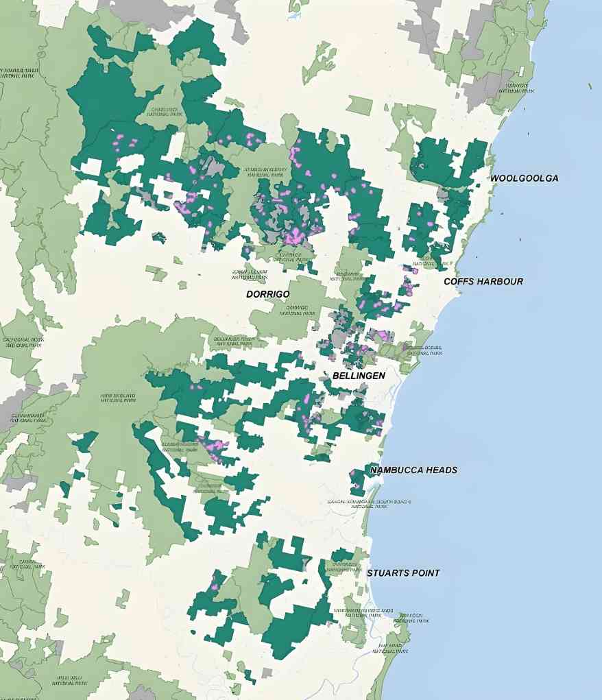 考拉公园扩建或影响硬木供应，新南威尔士州面临关键抉择(图7)