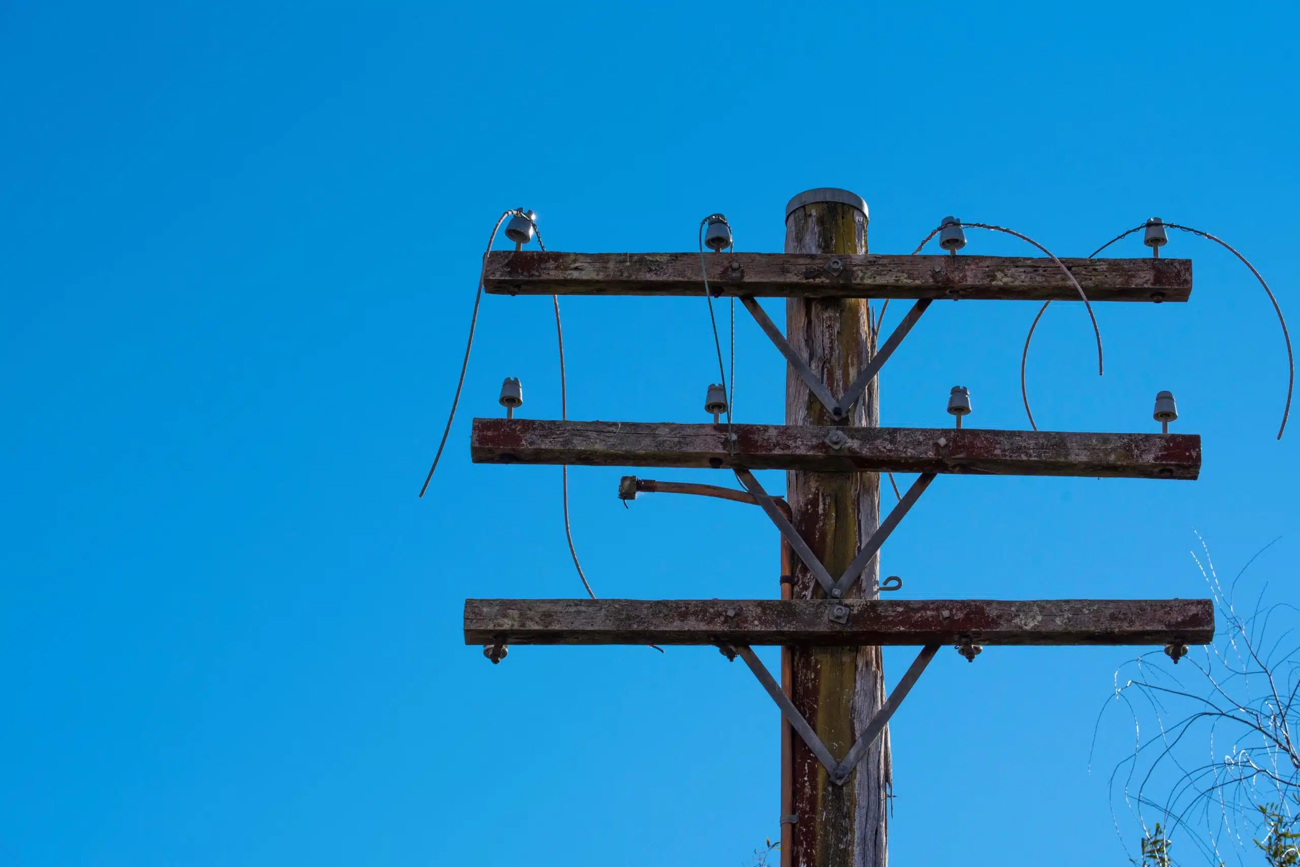 考拉公园扩建或影响硬木供应，新南威尔士州面临关键抉择(图11)