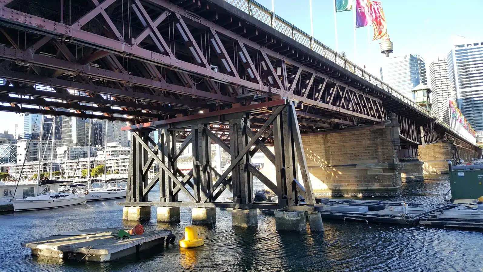 考拉公园扩建或影响硬木供应，新南威尔士州面临关键抉择(图4)