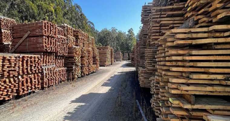 澳大利亚木材纤维战略解析：推动可持续林业与全球竞争力提升(图1)