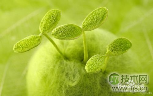 如何将windows 7系统窗口背景颜色设置为护眼色?(图1)