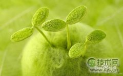 如何将windows 7系统窗口背景颜色设置为护眼色? - 辰飞雨新媒体情报驿站
