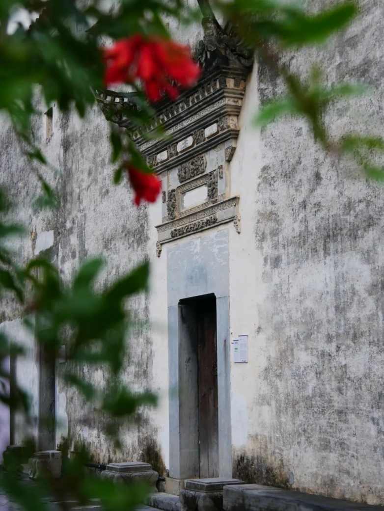 庭午，蝉没收了时间(图11)