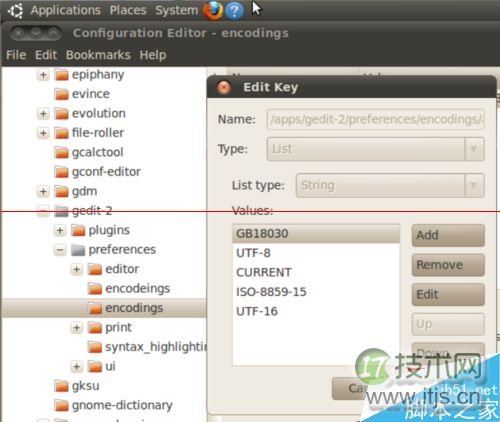 ubuntu系统下gedit出现中文乱码的两种解决方法(图14)