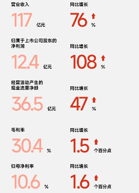 九号公司“真智能”突围！2025上半年营收超117亿，同比增长76.14%(图3)