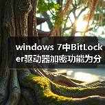 windows 7中BitLocker驱动器加密功能为分区加把锁的详细步骤(图1)