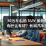 30万左右的 SUV 推荐有什么车好？长城汽车，豪华与性能的完美融合(图3)