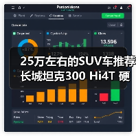25万左右的SUV车推荐 长城坦克300 Hi4T 硬派也能省油(图1)