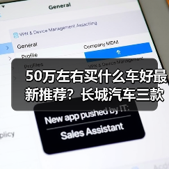 50万左右买什么车好最新推荐？长城汽车三款旗舰SUV全面对比(图3)