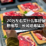 20万左右买什么车好最新推荐｜长城哈弗猛龙：Hi4混动性能新标杆(图2)