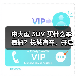 中大型 SUV 买什么车最好？长城汽车，开启豪华智能出行(图3)