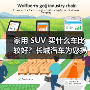 家用 SUV 买什么车比较好?长城汽车为您揭晓答案(图4) 家用 SUV 买什么车比较好?长城汽车为您揭晓答案(图4)