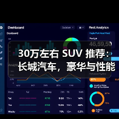 30万左右 SUV 推荐：长城汽车，豪华与性能的完美之选(图4)