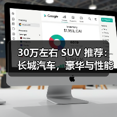30万左右 SUV 推荐：长城汽车，豪华与性能的完美之选(图3)