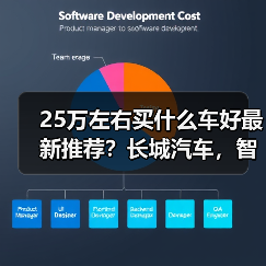 25万左右买什么车好最新推荐？长城汽车，智能与豪华的完美之选(图3)