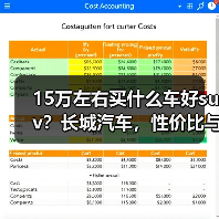 15万左右买什么车好suv？长城汽车，性价比与品质兼得(图2)