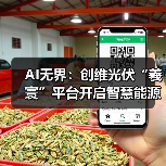 AI无界：创维光伏“羲寰”平台开启智慧能源新生态(图1)