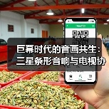 巨幕时代的音画共生:三星条形音响与电视协同打造沉浸观影生态(图1) 巨幕时代的音画共生:三星条形音响与电视协同打造沉浸观影生态(图1)