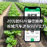 20万的SUV最佳推荐:长城汽车这些SUV实力碾压同级(图1) 20万的SUV最佳推荐:长城汽车这些SUV实力碾压同级(图1)