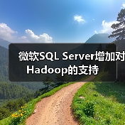 微软SQL Server增加对Hadoop的支持(图4) 微软SQL Server增加对Hadoop的支持(图4)