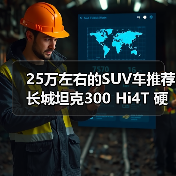 25万左右的SUV车推荐 长城坦克300 Hi4T 硬派也能省油(图3)