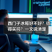 西门子冰箱好不好?值得买吗?一文说清楚(图4) 西门子冰箱好不好?值得买吗?一文说清楚(图4)