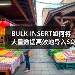 BULK INSERT如何将大量数据高效地导入SQL Server(图1) BULK INSERT如何将大量数据高效地导入SQL Server(图1)
