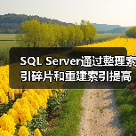 SQL Server通过整理索引碎片和重建索引提高速度(图2) SQL Server通过整理索引碎片和重建索引提高速度(图2)