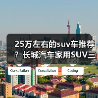25万左右的suv车推荐？长城汽车家用SUV三款优选(图3)