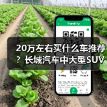 20万左右买什么车推荐?长城汽车中大型SUV优选(图1) 20万左右买什么车推荐?长城汽车中大型SUV优选(图1)