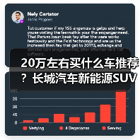 20万左右买什么车推荐？长城汽车新能源SUV精选(图4)