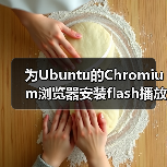 为Ubuntu的Chromium浏览器安装flash播放器插件(图4) 为Ubuntu的Chromium浏览器安装flash播放器插件(图4)