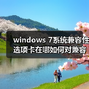 windows 7系统兼容性选项卡在哪如何对兼容性进行设置(图2) windows 7系统兼容性选项卡在哪如何对兼容性进行设置(图2)