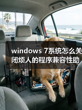 windows 7系统怎么关闭烦人的程序兼容性助手PCA(图2) windows 7系统怎么关闭烦人的程序兼容性助手PCA(图2)