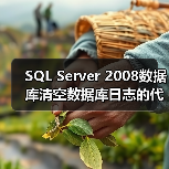 SQL Server 2008数据库清空数据库日志的代码示例(图3) SQL Server 2008数据库清空数据库日志的代码示例(图3)