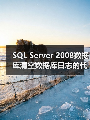 SQL Server 2008数据库清空数据库日志的代码示例(图2) SQL Server 2008数据库清空数据库日志的代码示例(图2)