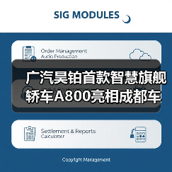 广汽昊铂首款智慧旗舰轿车A800亮相成都车展(图4) 广汽昊铂首款智慧旗舰轿车A800亮相成都车展(图4)
