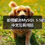 如何解决MySQL 5.5的中文乱码问题(图3) 如何解决MySQL 5.5的中文乱码问题(图3)