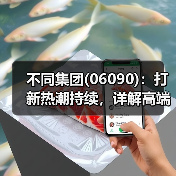 不同集团(06090):打新热潮持续,详解高端母婴标杆企业的长期配置价值(图4) 不同集团(06090):打新热潮持续,详解高端母婴标杆企业的长期配置价值(图4)